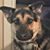 Cynthia A Russell's profile image