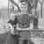 Chris Fawver's profile image