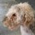 Fred Sharp's profile image