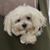 Elizabeth Henriksen Carrier's profile image