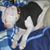 Jamie Whiton's profile image