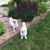 Donna Kitt's profile image
