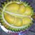Nicholas Ching's profile image