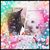 Louise D'Agostino's profile image