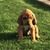 Lesa Lemons's profile image
