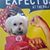Janet Ladybug Crosmer's profile image