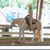 Marcia Ruggles's profile image