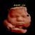 Mallory Stobaugh Birch's profile image
