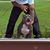 Welly Syakhasone's profile image