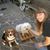Isabella Longarini's profile image