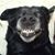 Julie McCully Churchill's profile image