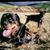 Marilyn Corder's profile image