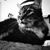 Carol Brown's profile image