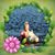 Cheryl Decker's profile image