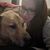 Laurin Jeffers's profile image