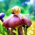Briana Richey's profile image