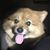 Tiana McHaney Stayton's profile image
