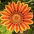 Christie Molina's profile image