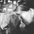 Cyndi Benner Gray's profile image