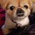 Tiki Tom Cofer's profile image