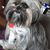 Bobbi Laird Hampel's profile image