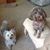 Bonnie Lafountaine's profile image