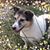 Becky Atzinger's profile image