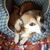 Julie Johnson-Majcan's profile image