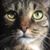 Carol King Butler's profile image