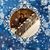 Angelica Velasquez's profile image