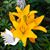 Deb Odegard Sandvig's profile image