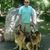 Randy Burge-Willis's profile image