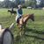 Melissa Harper Lamb's profile image
