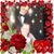Donald Burkett's profile image