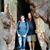 Lynn Mayer Thibodeaux's profile image