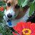 Claudia Robinson Sladen's profile image