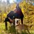 Adin DeGeare's profile image