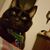 Paula Gabay's profile image