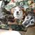 Linda Davies's profile image
