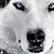Rich Kline's profile image