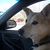Charyl Bishop Ray's profile image