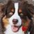 Theresa Jay's profile image