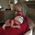 Dennise Engels Webster's profile image
