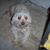 Patty LaMont's profile image