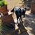 Vong Serey's profile image