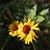 John Moyer's profile image