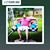 Daniel Jacobs's profile image