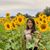 Kathy Tialdimpar's profile image