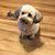 Sally Lee's profile image