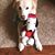 Jennifer Hoerner Berryman's profile image